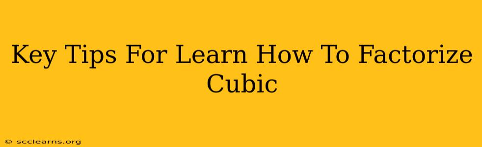 Key Tips For Learn How To Factorize Cubic