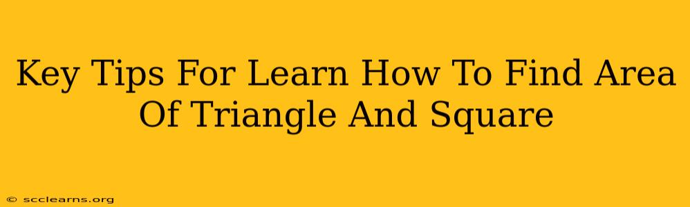 Key Tips For Learn How To Find Area Of Triangle And Square