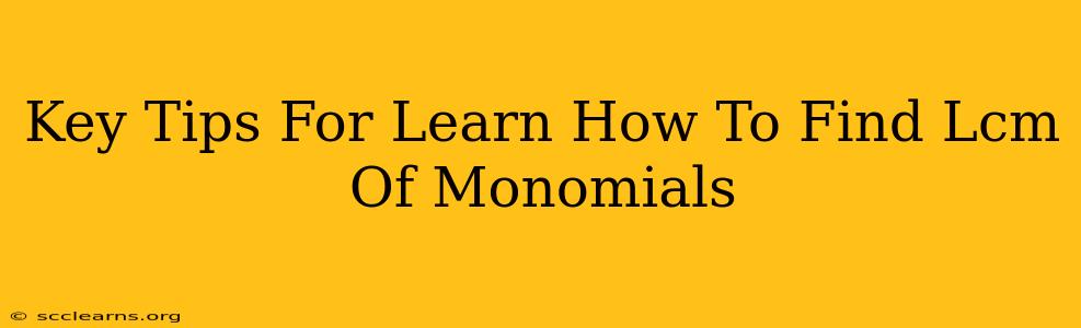 Key Tips For Learn How To Find Lcm Of Monomials