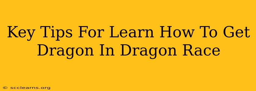 Key Tips For Learn How To Get Dragon In Dragon Race