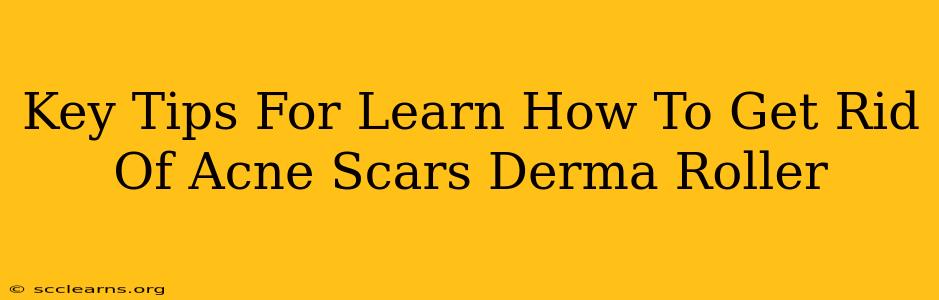 Key Tips For Learn How To Get Rid Of Acne Scars Derma Roller