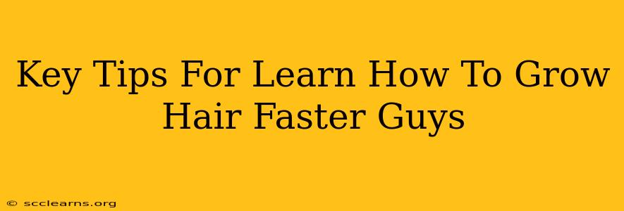 Key Tips For Learn How To Grow Hair Faster Guys