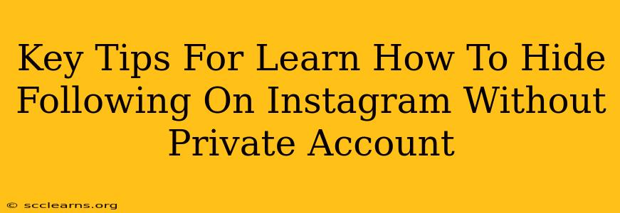 Key Tips For Learn How To Hide Following On Instagram Without Private Account