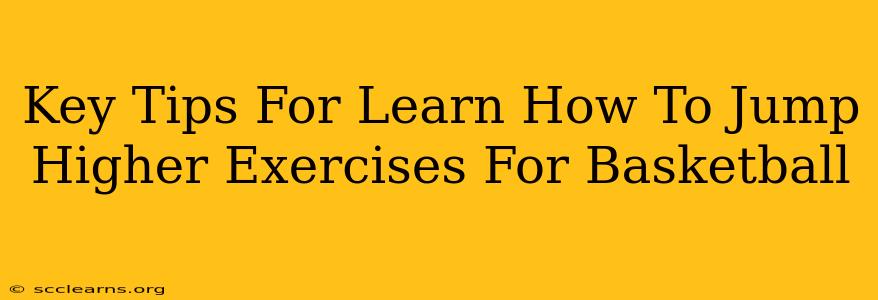 Key Tips For Learn How To Jump Higher Exercises For Basketball