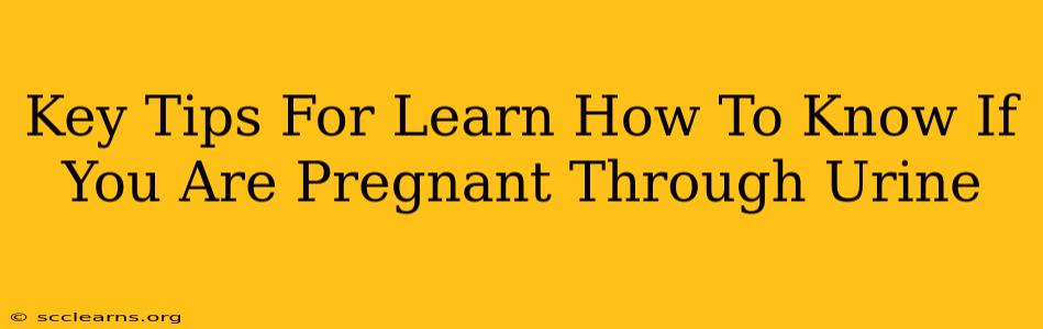 Key Tips For Learn How To Know If You Are Pregnant Through Urine