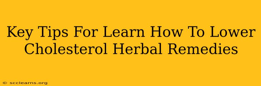 Key Tips For Learn How To Lower Cholesterol Herbal Remedies