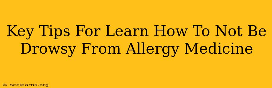 Key Tips For Learn How To Not Be Drowsy From Allergy Medicine