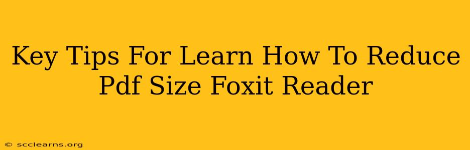 Key Tips For Learn How To Reduce Pdf Size Foxit Reader