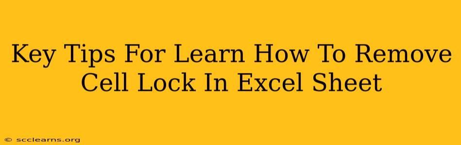 Key Tips For Learn How To Remove Cell Lock In Excel Sheet