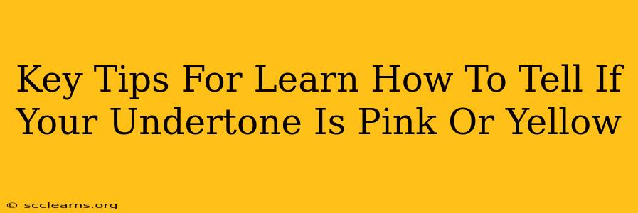 Key Tips For Learn How To Tell If Your Undertone Is Pink Or Yellow