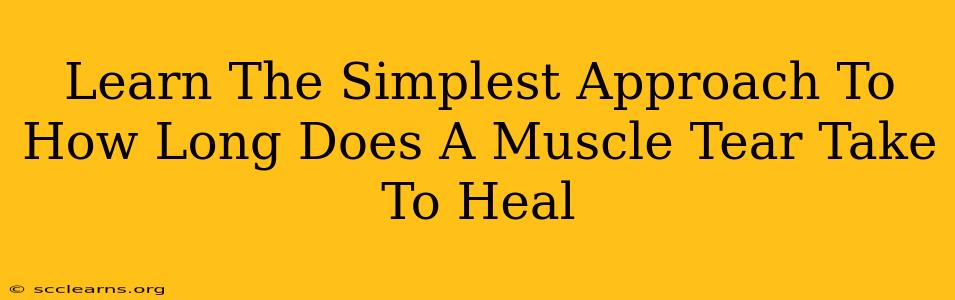 Learn The Simplest Approach To How Long Does A Muscle Tear Take To Heal