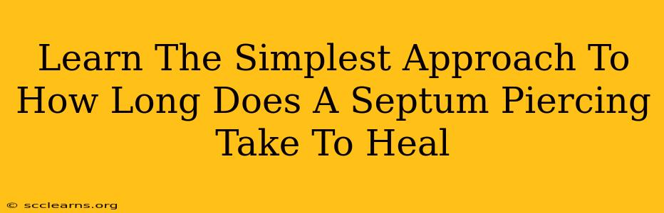 Learn The Simplest Approach To How Long Does A Septum Piercing Take To Heal