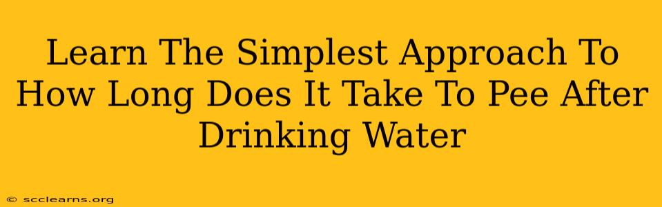 Learn The Simplest Approach To How Long Does It Take To Pee After Drinking Water