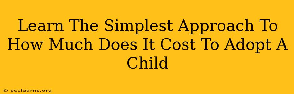 Learn The Simplest Approach To How Much Does It Cost To Adopt A Child