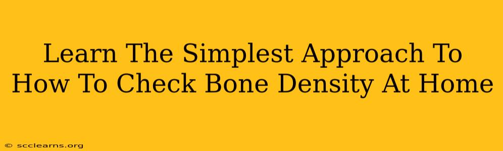 Learn The Simplest Approach To How To Check Bone Density At Home