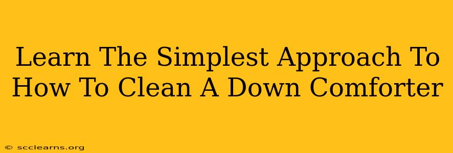 Learn The Simplest Approach To How To Clean A Down Comforter