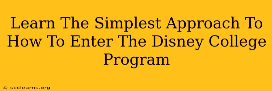 Learn The Simplest Approach To How To Enter The Disney College Program