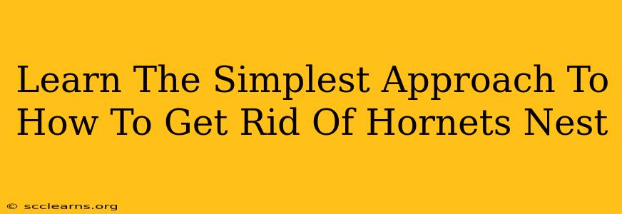 Learn The Simplest Approach To How To Get Rid Of Hornets Nest