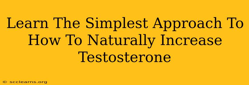 Learn The Simplest Approach To How To Naturally Increase Testosterone