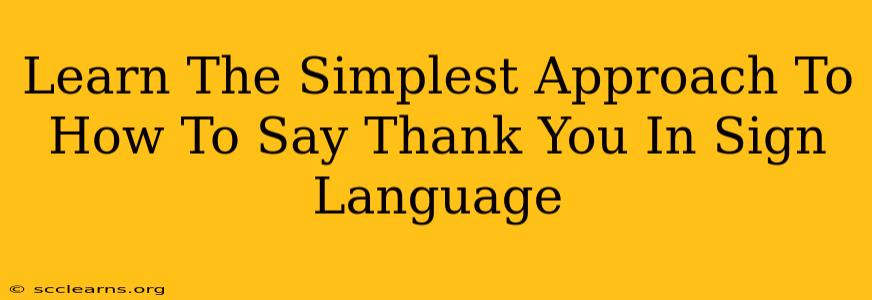 Learn The Simplest Approach To How To Say Thank You In Sign Language