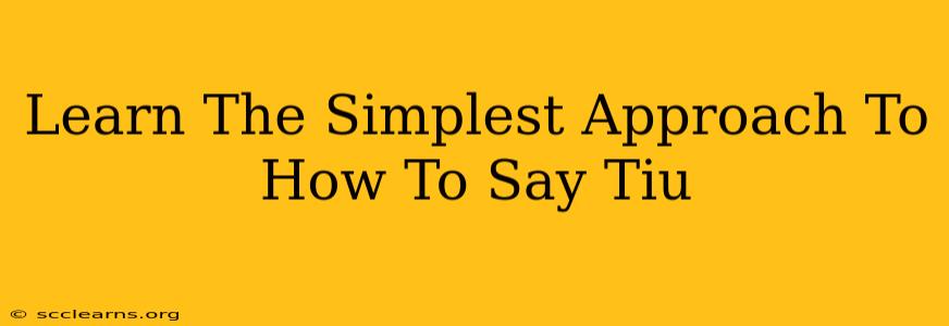 Learn The Simplest Approach To How To Say Tiu