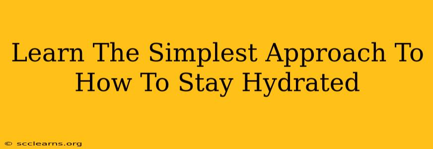 Learn The Simplest Approach To How To Stay Hydrated