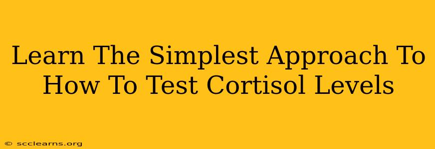 Learn The Simplest Approach To How To Test Cortisol Levels