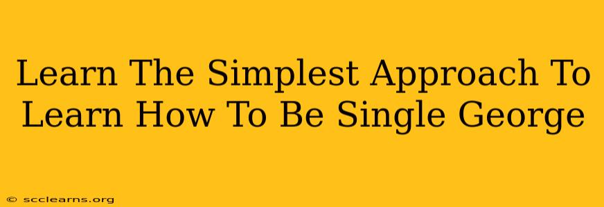 Learn The Simplest Approach To Learn How To Be Single George