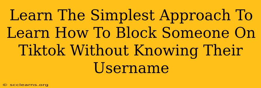 Learn The Simplest Approach To Learn How To Block Someone On Tiktok Without Knowing Their Username