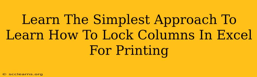 Learn The Simplest Approach To Learn How To Lock Columns In Excel For Printing