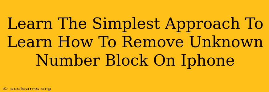 Learn The Simplest Approach To Learn How To Remove Unknown Number Block On Iphone