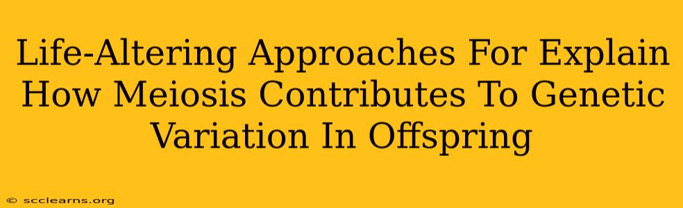 Life-Altering Approaches For Explain How Meiosis Contributes To Genetic Variation In Offspring
