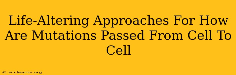 Life-Altering Approaches For How Are Mutations Passed From Cell To Cell