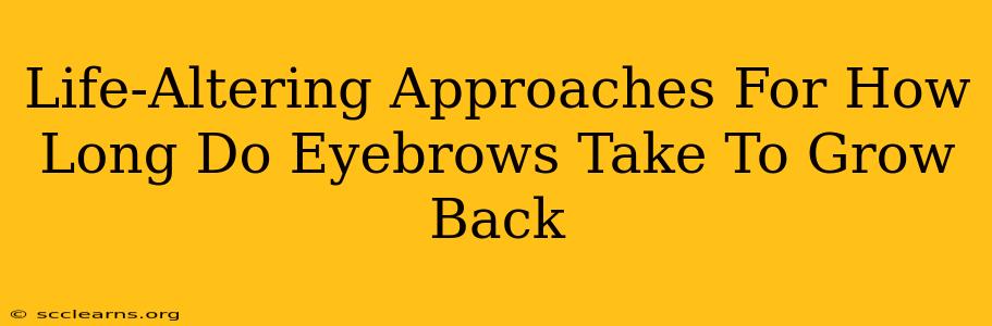 Life-Altering Approaches For How Long Do Eyebrows Take To Grow Back