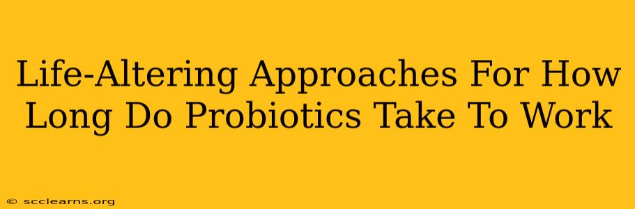 Life-Altering Approaches For How Long Do Probiotics Take To Work