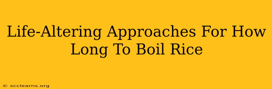 Life-Altering Approaches For How Long To Boil Rice