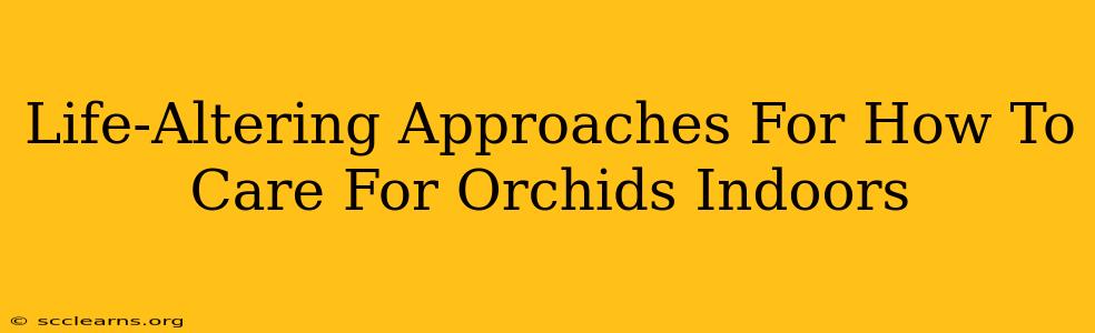 Life-Altering Approaches For How To Care For Orchids Indoors