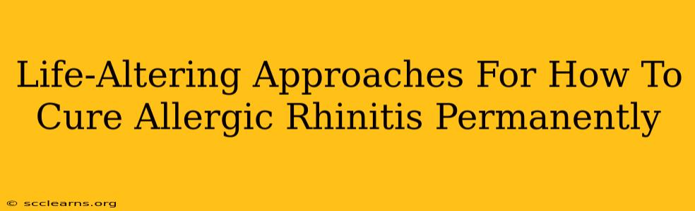 Life-Altering Approaches For How To Cure Allergic Rhinitis Permanently