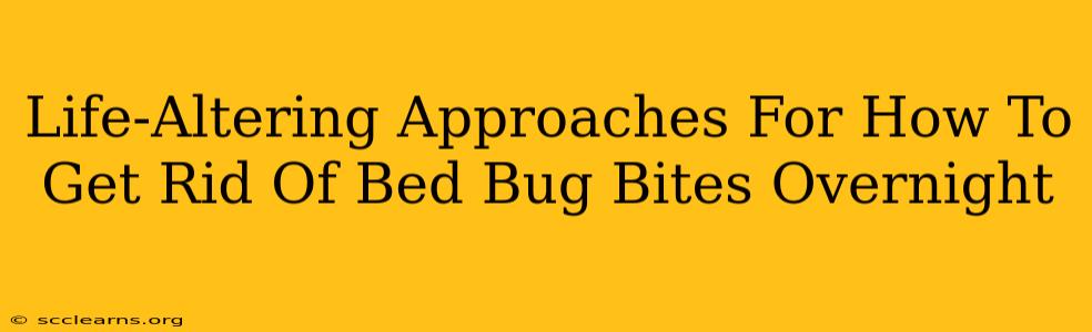 Life-Altering Approaches For How To Get Rid Of Bed Bug Bites Overnight