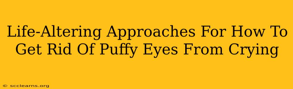 Life-Altering Approaches For How To Get Rid Of Puffy Eyes From Crying