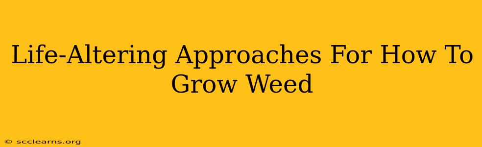 Life-Altering Approaches For How To Grow Weed