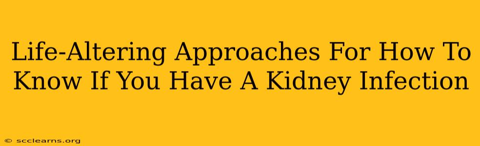 Life-Altering Approaches For How To Know If You Have A Kidney Infection