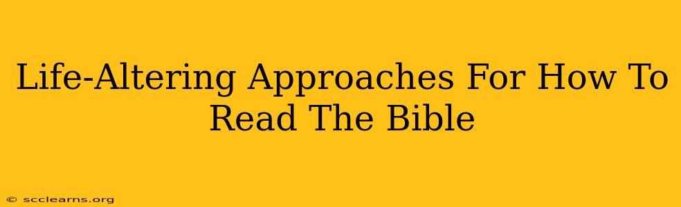 Life-Altering Approaches For How To Read The Bible