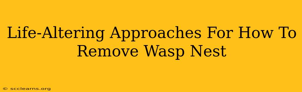 Life-Altering Approaches For How To Remove Wasp Nest