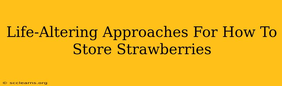 Life-Altering Approaches For How To Store Strawberries