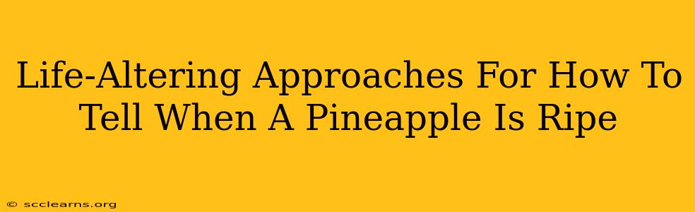 Life-Altering Approaches For How To Tell When A Pineapple Is Ripe