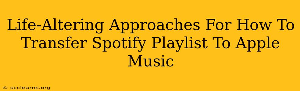 Life-Altering Approaches For How To Transfer Spotify Playlist To Apple Music