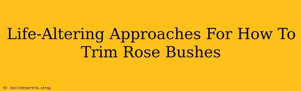 Life-Altering Approaches For How To Trim Rose Bushes