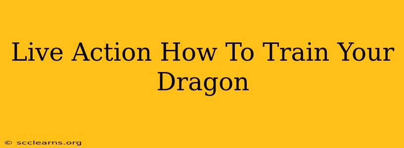 Live Action How To Train Your Dragon