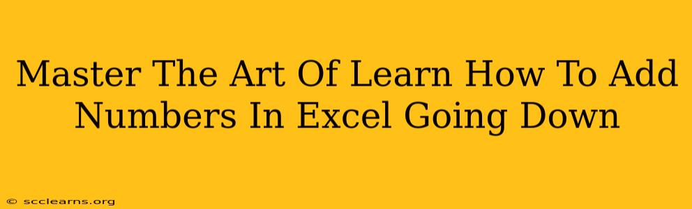 Master The Art Of Learn How To Add Numbers In Excel Going Down